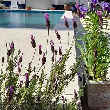 Hébergement de vacances Monte Rolas - A Serenidade Mora Aqui! *